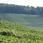 Les Dames-jeannes 3* Chavot-Courcourt