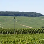 Les Dames-jeannes 3* Chavot-Courcourt