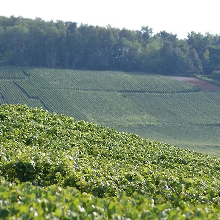 Les Dames-jeannes 3* Chavot-Courcourt