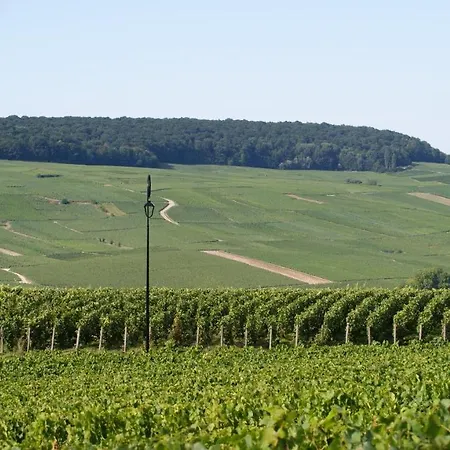 Les Dames-jeannes 3* Chavot-Courcourt