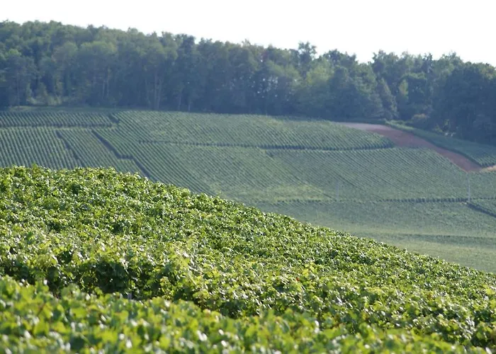 Les Dames-jeannes 3* Chavot-Courcourt