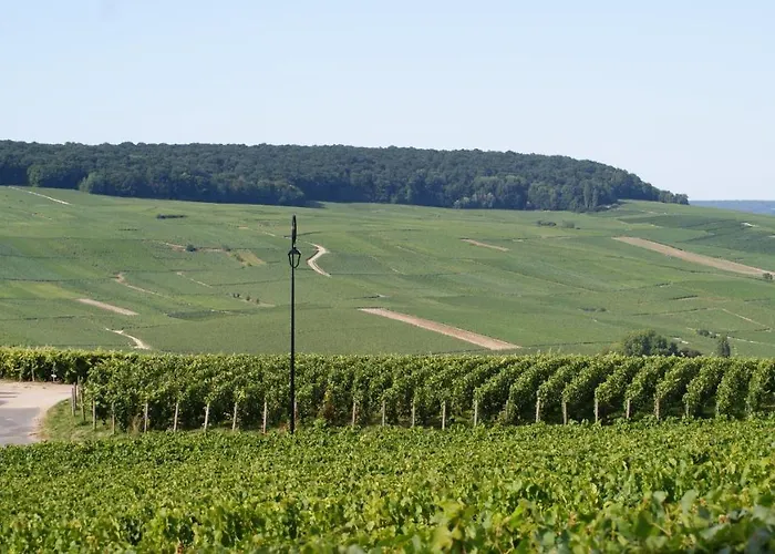 Les Dames-jeannes 3* Chavot-Courcourt